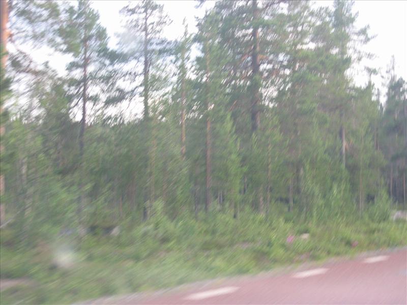 Sweden 2006-04 132